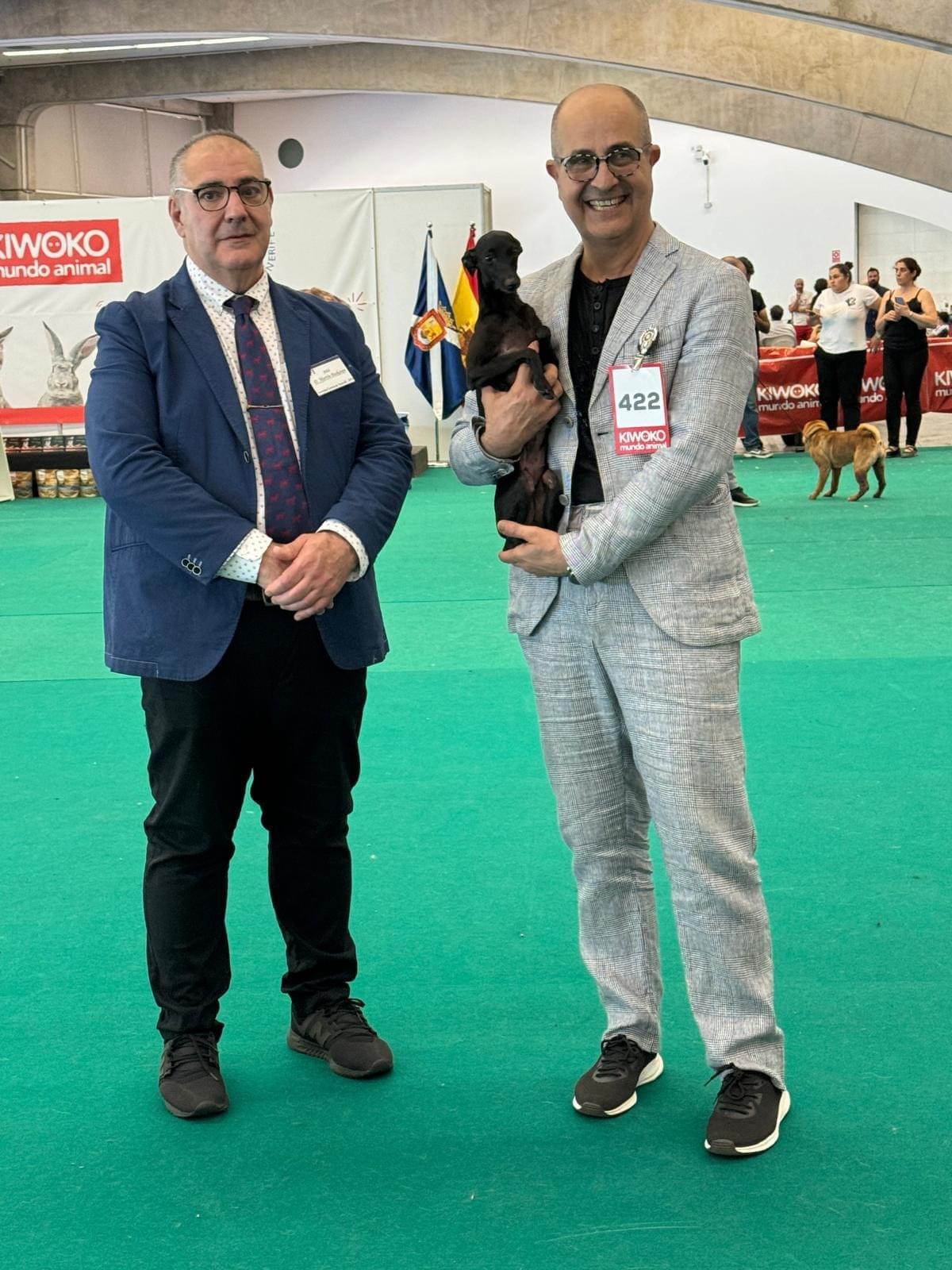 Blaylock Kennel en la exposición internacional de Tenerife, con Íñigo García Monedero Blaylock Kennel en la exposición internacional de Tenerife, con Íñigo García Monedero